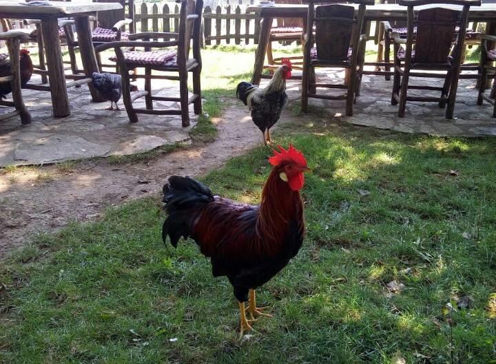 Farm Stay Cardaklije Kulen Vakuf Luaran gambar