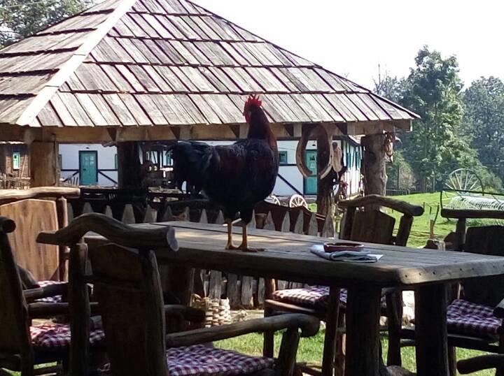 Farm Stay Cardaklije Kulen Vakuf Luaran gambar
